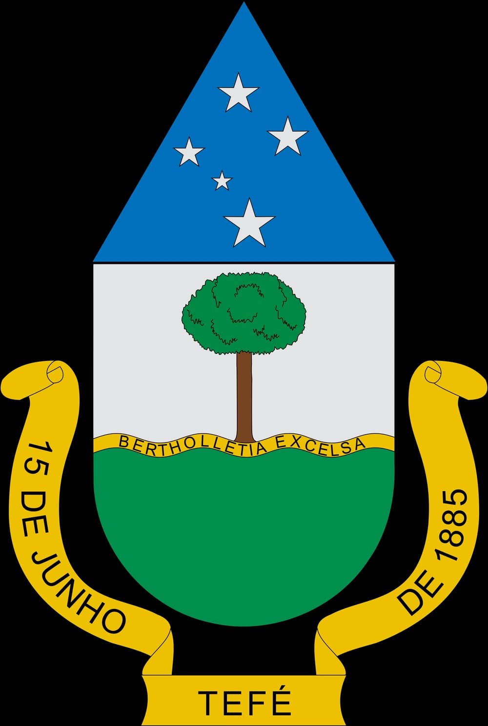 Escudo de Tefé: chefe triangular azul com as cinco estrelas do Cruzeiro do Sul, campo branco com uma castanheira, faixa amarela ondulada com a inscrição Bertholletia excelsa, base verde e listel amarelo com os dizeres 15 de junho de 1885 e Tefé