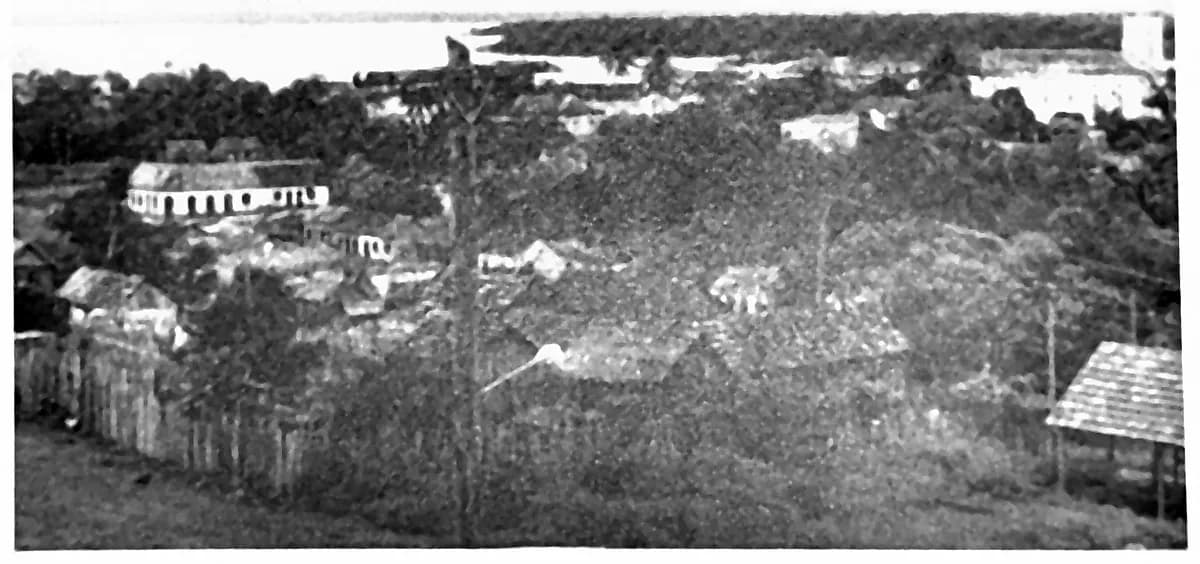 Fotografia de 1969 do centro urbano de Tefé vista de cima, com casas baixas espalhadas entre a vegetação